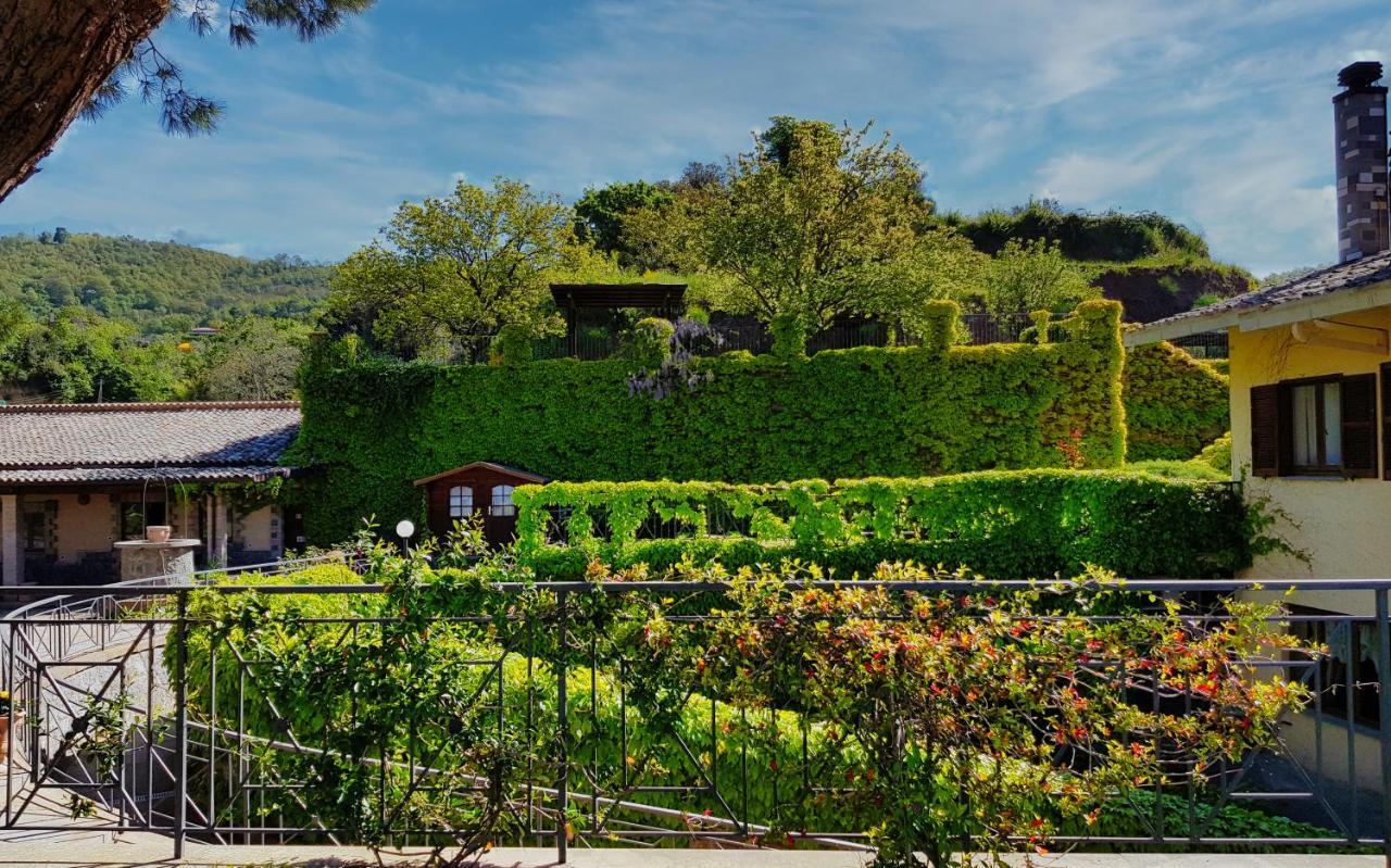 Agriturismo Le Vigne Bolsena Exterior foto