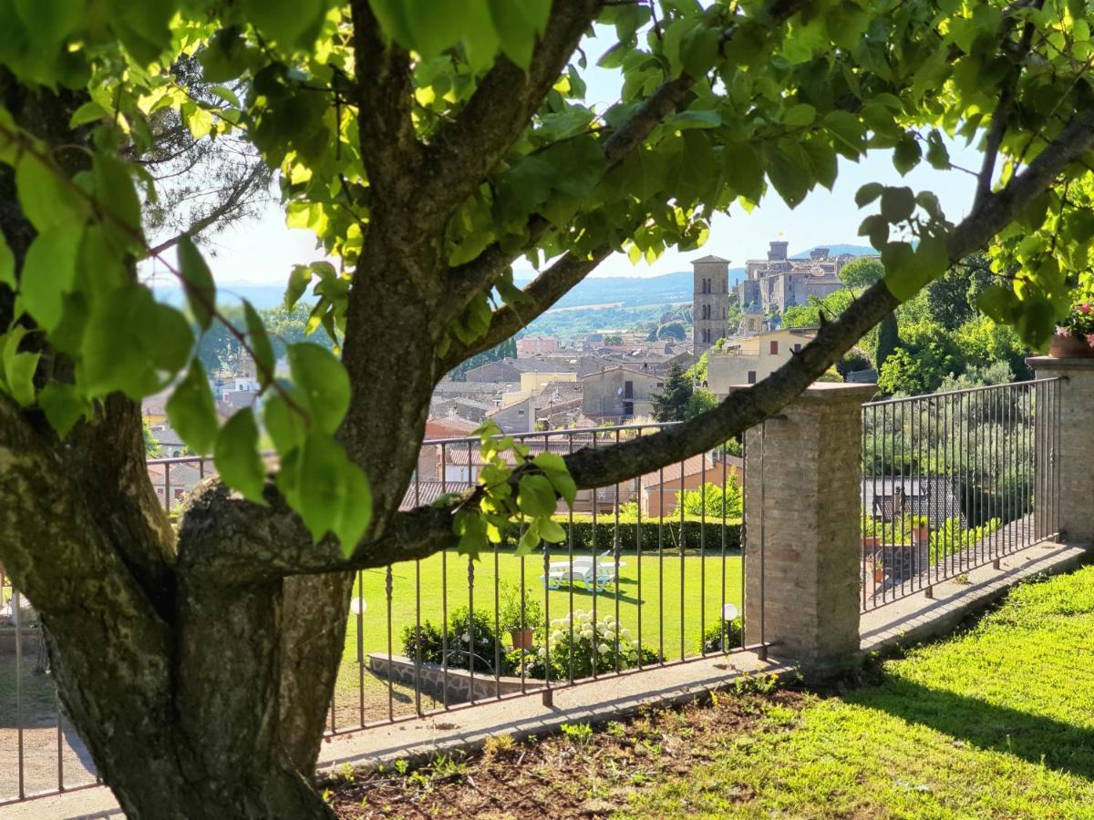 Agriturismo Le Vigne Bolsena Exterior foto